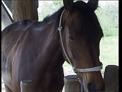 Giovane Troia succhia il mio Cazzo in fattoria!