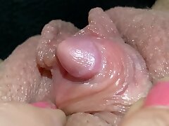 Fresh furry pubic hair big bean close up