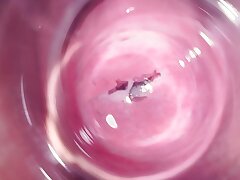 Inside Mia's vagina, inward camera